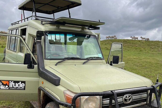 8 Days Serengeti Migration safari - Key Points You’ll Want to Know First