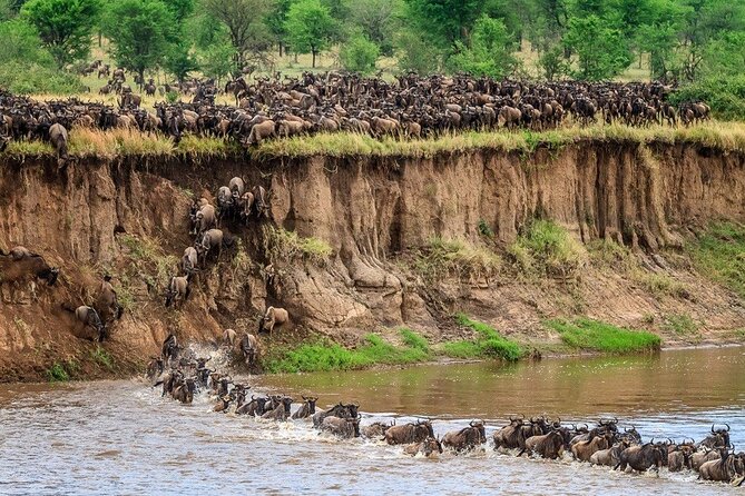8 Days Serengeti Migration safari - Northern Tanzania in 8 Days: What This Route Really Delivers