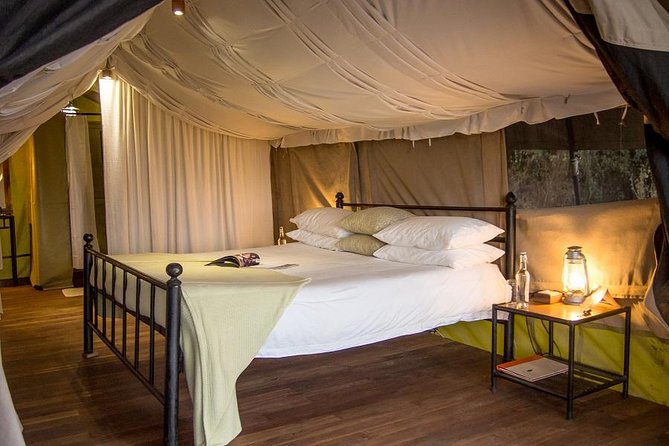 8 Days Tanzania Adventure Tented Camps Safari - First Night in Arusha: JRO Arrival, Coffee-Farm Comfort, and a Real Briefing