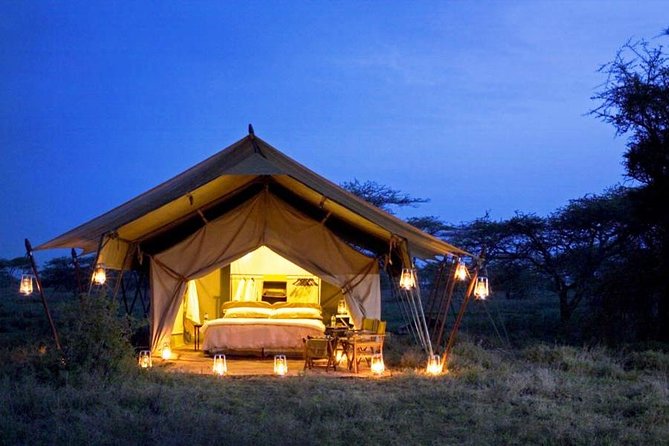 8 Days Tanzania Adventure Tented Camps Safari - Ngorongoro Crater Descent: The Wildlife Funnel, the Rhino Possibility, and the Giraffe Twist