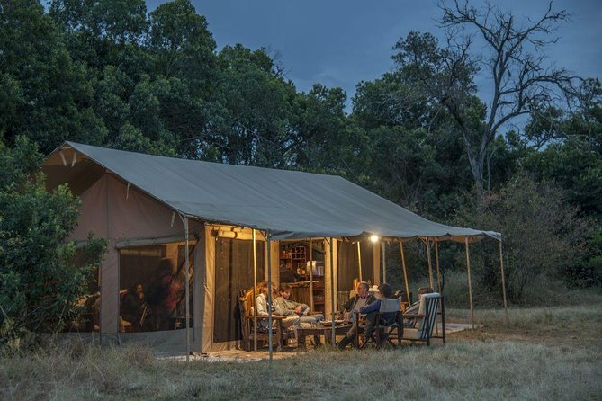 8 Days Tanzania Wildlife Safari Experience - Why This Drive-In Fly-Out Safari Route Works