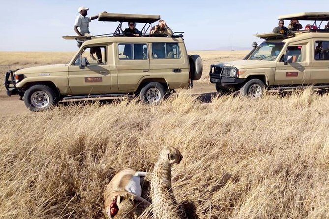 8 Days Tanzania Wildlife Safari Experience - Tarangire National Park: Elephants, Baobabs, and Long Viewing Sessions