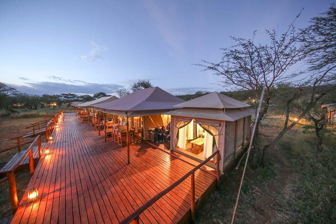 8 Days Tanzania Wildlife Safari Experience - Lake Manyara: Birds, Primates, and the Flamingo Lagoon
