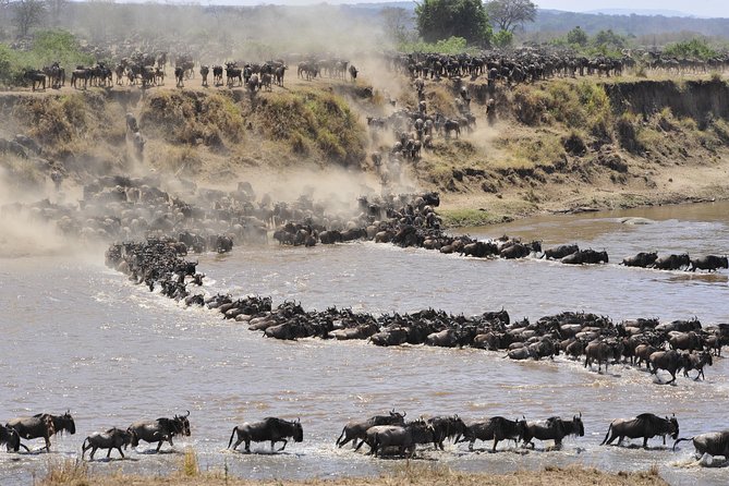 8 Days Tanzania Wildlife Safari Experience - Ngorongoro Crater Descent: Big Five Country in One Caldera Day