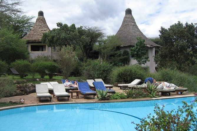 8 Days Tanzania Wildlife Safari Experience - Day 8 Flight Out: Leaving the Serengeti the Easy Way