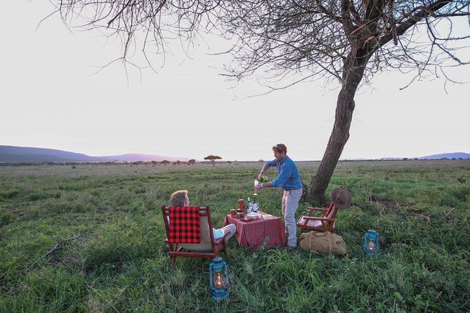 8 Days Tanzania Wildlife Safari Experience - Day 1 in Arusha: Arrive, Reset, and Get Ready