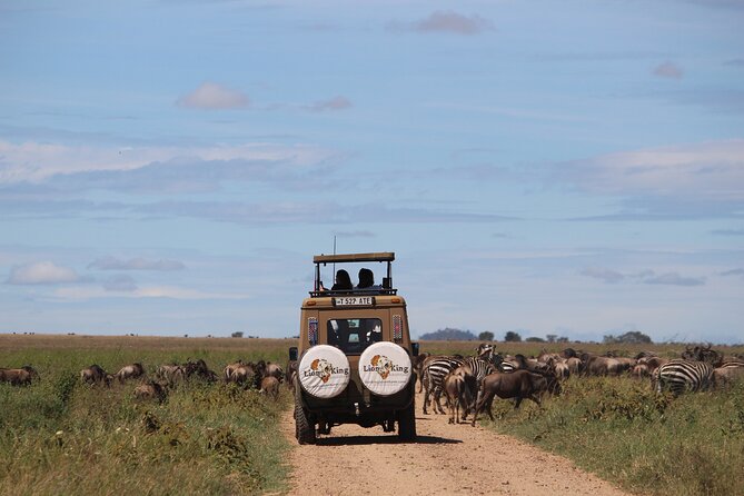 9-Day Serengeti Migration Footsteps Tanzania Safari - Northern Serengeti migration days for Mara River crossings: where the drama can happen