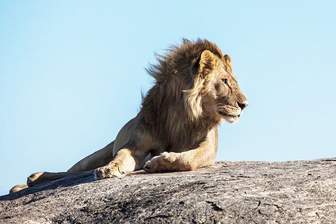 9-Day Serengeti Migration Footsteps Tanzania Safari - Price and value for a 9-day private migration safari