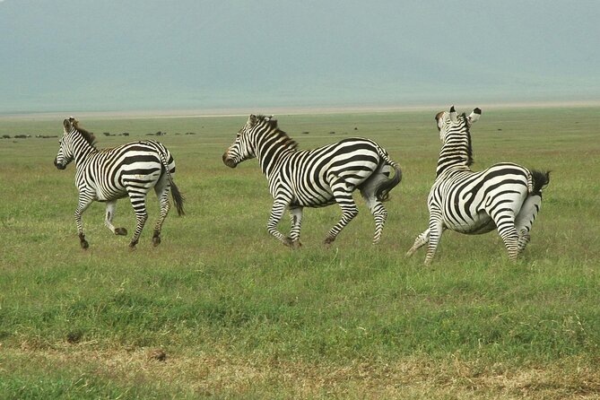 9-Day Ultimate Tanzania Honeymoon Safari Luxury Package - The big picture: why this 9-day route works for couples