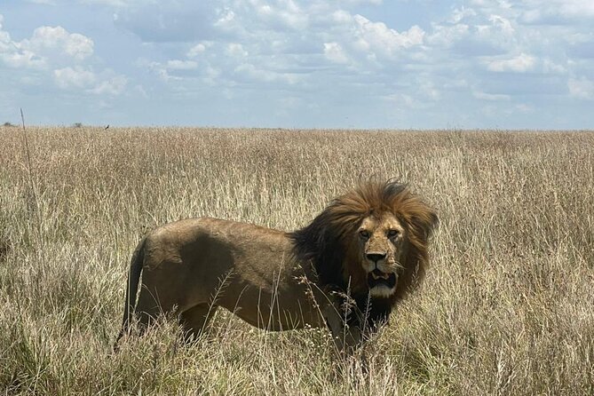 9 Days 8 Nights Walking Safari - Moshi as your base for crater country and culture