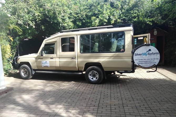 9 Days - Best of Tanzania Safari - Days 7 and 8 Serengeti: Seronera water and Wagakuria lion odds
