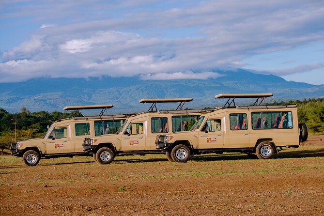 9 Days Great Migration Safaris with Kojuu Safaris Africa-Luxury. - Last game drive in Serengeti, then Karatu downtime