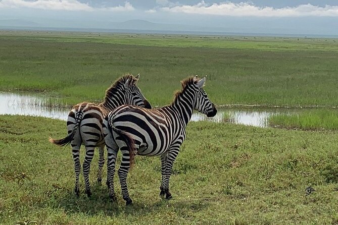 9-Days High End Road and Air Kenya Safari - Day 6: Lake Naivasha by road, lunch on arrival, and a different kind of safari