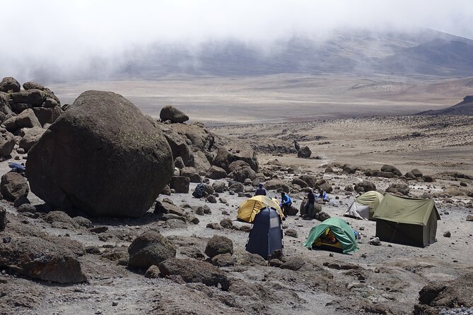 9 Days Kilimanjaro Climb via Lemosho Route - Day 7 to Barafu Camp: short hike, big winds, and Mawenzi in your sights