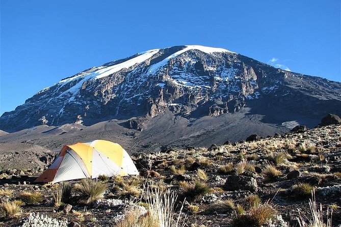 9 Days Kilimanjaro Hiking or Climbing via Northern Circuit route - Key Highlights at a Glance