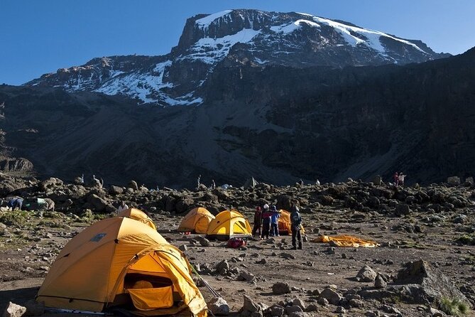 9 Days Kilimanjaro Hiking or Climbing via Northern Circuit route - Day 3: Shira 1 to Shira 2, A Slow Walk Across Shira Plateau