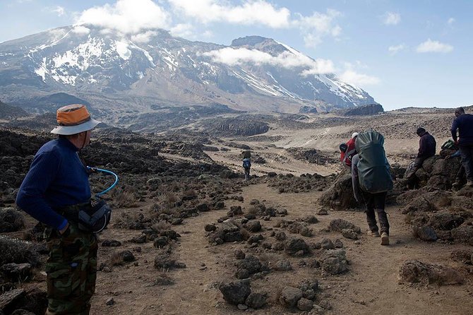 9 Days Kilimanjaro Hiking or Climbing via Northern Circuit route - Day 5: Moir Hut to Buffalo Camp, Lent Hills Summit Option and Big North Views