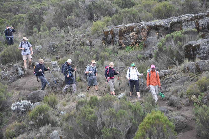 9 Days Mount Kilimanjaro Climb Machame Route - Day 1: From Machame Gate (1,800 m) to Machame Camp (3,010 m)