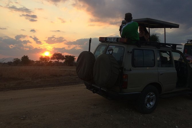 A day trip to mikumi from morogoro - Timing and meeting point: how to avoid stress on safari morning