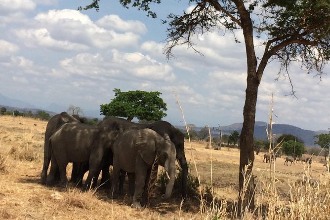 A day trip to mikumi from morogoro - Price and value: what $256.42 per group gets you
