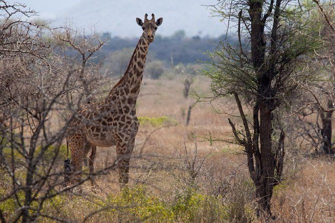 A Day Trip To Saadani National Park From Dar es salaam / Zanzibar - Weather and what to do with the unavoidable uncertainty