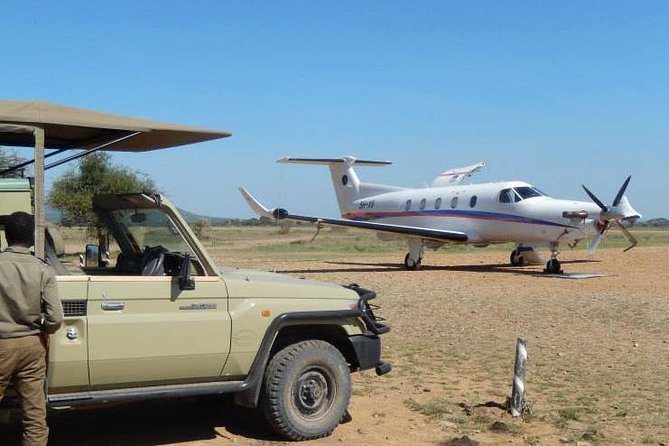 A Day Trip To Selous Fly From Zanzibar - Key points to know before you go