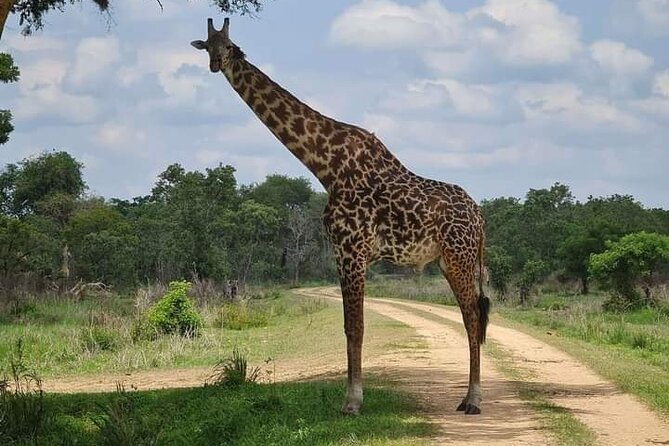 A Day Trip To Selous Fly From Zanzibar - The landscape you drive through: more than just plains