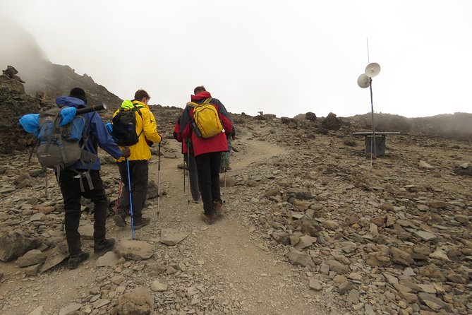 A Definitive Guide For the 7-day Kilimanjaro's Lemosho Route 2025 - Day By Day On Lemosho: What Each Stop Feels Like (And Why It’s Placed There)