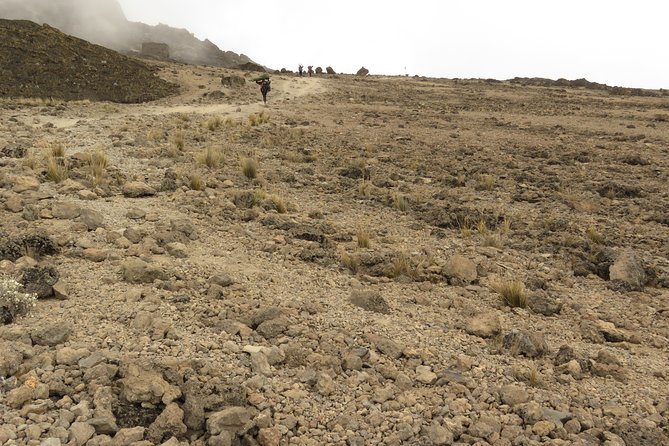 A Definitive Guide For the 7-day Kilimanjaro's Lemosho Route 2025 - Guide And Service Style: Real Support Up There