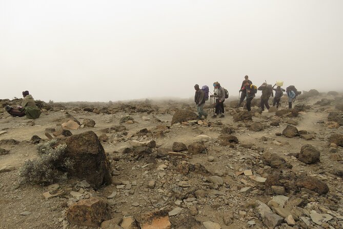 A Definitive Guide For the 7-day Kilimanjaro's Lemosho Route 2025 - Who Should Book This Lemosho Trek (And Who Might Rethink It)