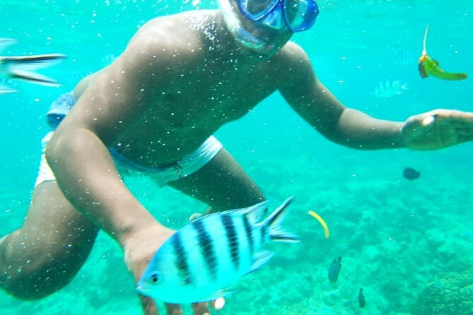 A Full Day Safari Blue Tour And Blue Lagoon - Tips to Have a Better Day on Safari Blue and the Blue Lagoon