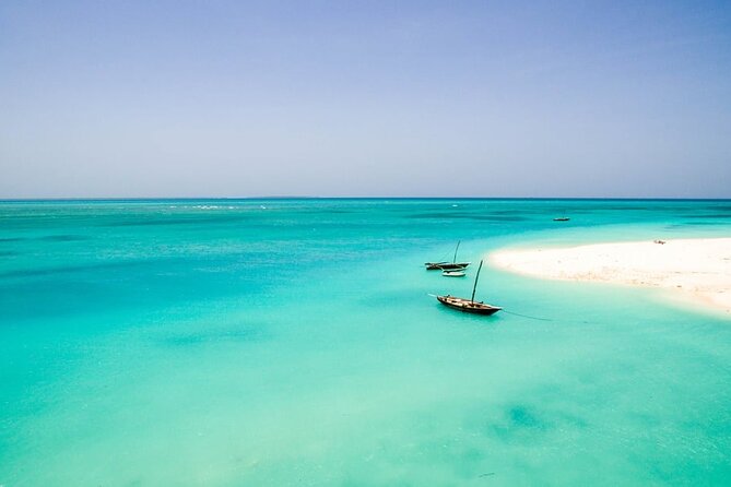 A Half Day Private Dolphins And Snorkeling Tour To Mnemba Island - Dolphins and snorkeling, then a free afternoon