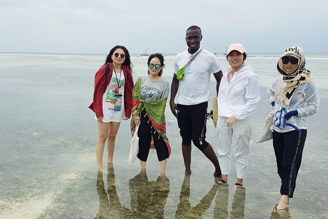 A Half Day Private Dolphins And Snorkeling Tour To Mnemba Island - The dolphin part: Kizimkazi is best in the morning