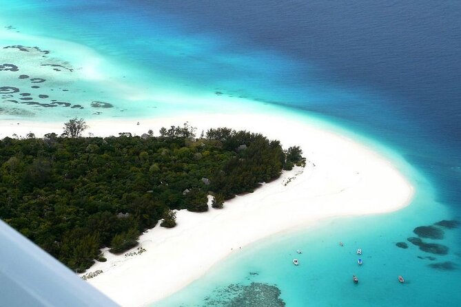 A Half Day Private Dolphins And Snorkeling Tour To Mnemba Island - Guide quality: Issa, Essa, and why communication matters