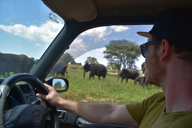 A Visit to The Giants in Tarangire NP. - Entering Tarangire’s Elephant Country
