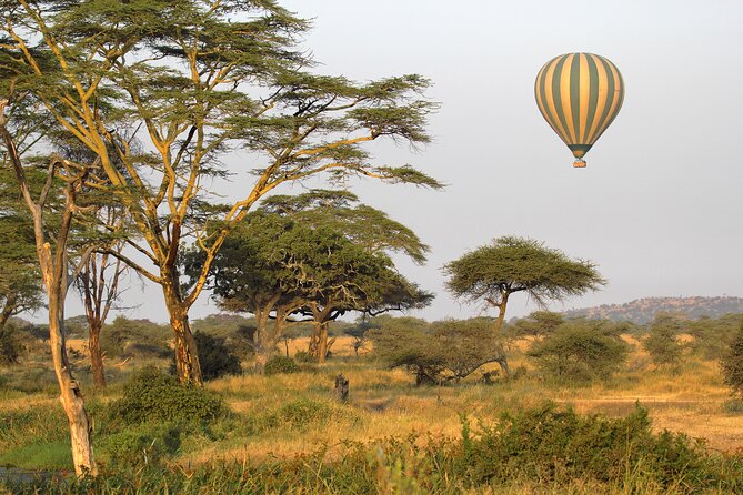 Affordable 3-Day Safari to Serengeti & Ngorongoro Crater - Key Highlights You’ll Actually Feel