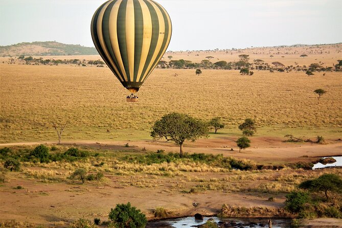 Affordable 3-Day Safari to Serengeti & Ngorongoro Crater - Ngorongoro Crater Day: UNESCO Amphitheater, Black Rhino Chances, and Big Five Territory