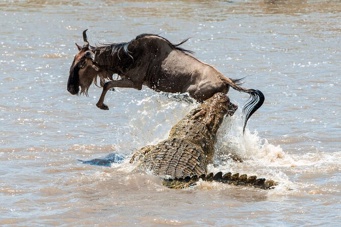 Affordable 3-Day Safari to Serengeti & Ngorongoro Crater - Sunrise Style Game Drive: How to Make Morning Count