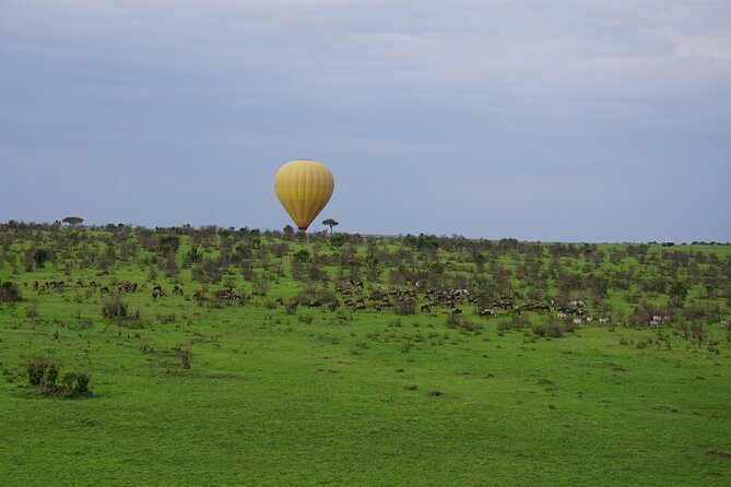 Affordable 3-Day Safari to Serengeti & Ngorongoro Crater - Campsites, Included Camping Equipment, and Comfort Reality