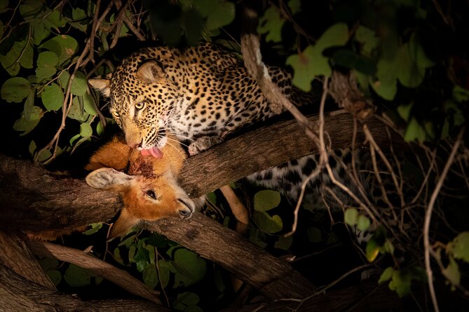 Affordable 3-Day Safari to Serengeti & Ngorongoro Crater - Price and Value: Is $780 a Good Deal for 2 Parks?