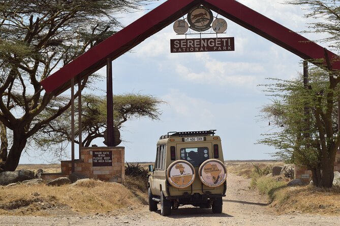 Amazing 4 Days Tanzania Budget Camping Group Joining Safari - Serengeti Through the Seronera Lens: Why Water Changes Everything