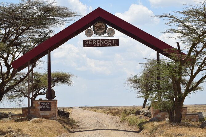 Amazing 4 Days Tanzania Budget Camping Group Joining Safari - Group Joining Reality: How “Max 200” Can Affect Your Wildlife Time