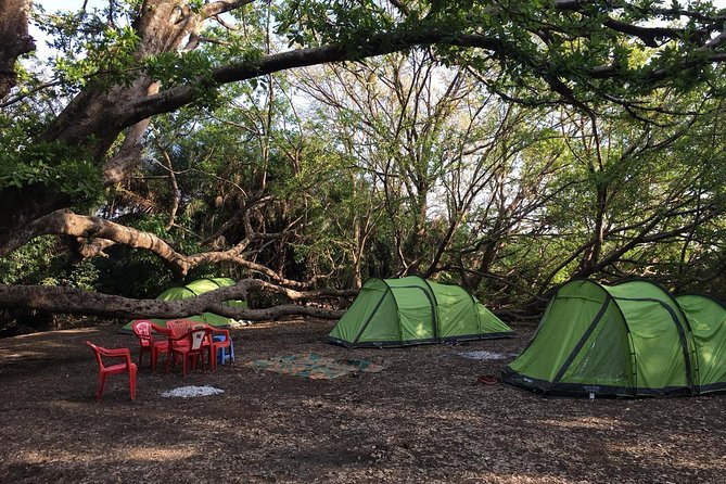 Amazing Chemka (Kikuletwa) Hot Spring Day Trip | BURIGI CHATO SAFARIS CO LTD - Lunch Under the Trees: Barbeque, Included Fees, and Easy Eating