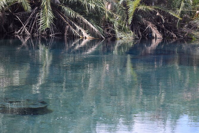 Amazing Chemka (Kikuletwa) Hot Spring Day Trip | BURIGI CHATO SAFARIS CO LTD - Price and Value: What $100 Covers (and What It Does Not)