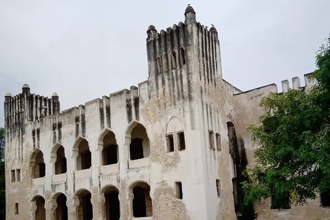Ancient Bagamoyo City Day Tour - Crocodile and reptile sanctuary: up-close photos, if you want them