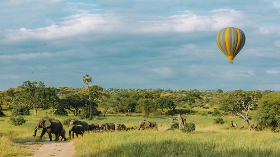 Arusha: 2 Day Tarangire & Ngorongoro Crater Big Five Safari - Price and Value, Is $530 Worth It?