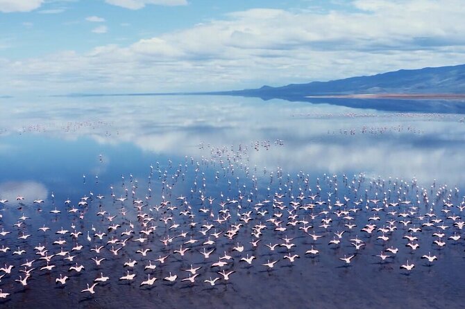 Arusha: 3-Day Safari Tarangire, Flamingo Walk Lake Natron Tour - What the trip includes, and how it affects your daily stress