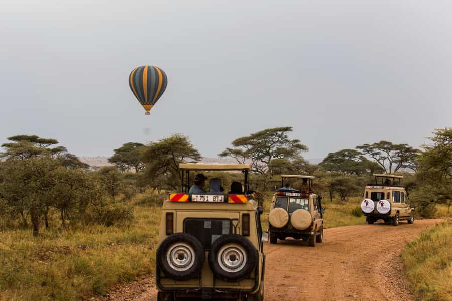 Arusha: 3-Day Serengeti & Ngorongoro Crater Big Five Safari - Day 3: Descending About 600 Meters Into Ngorongoro Crater