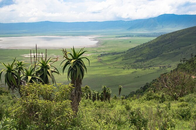 Arusha: 5 days Safari Trip Tarangire, Lake Manyara and Ngorongoro - Key moments worth planning for