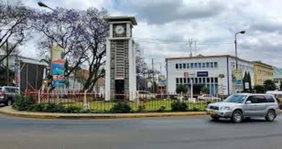 Arusha: City Walking Tour Historic and Modern Highlights - Natural History Museum in a German colonial fort: what to expect and how to use it